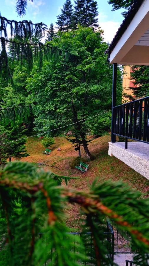 Bujtina Te Grima Hotel Theth Luaran gambar